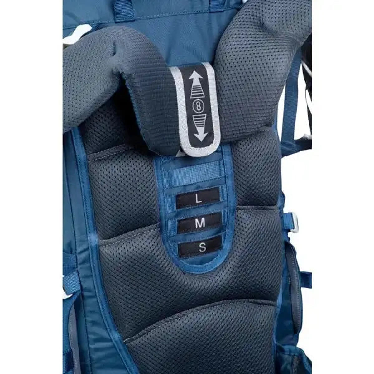 תקריב מערכת הגב המתכווננת AIR Mesh Y Frame של תרמיל GoNature Partner עם בורר מידות L M S מרופד
